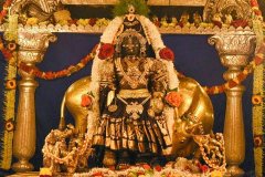 Udipi-Sri-Krishna.rev1_-1